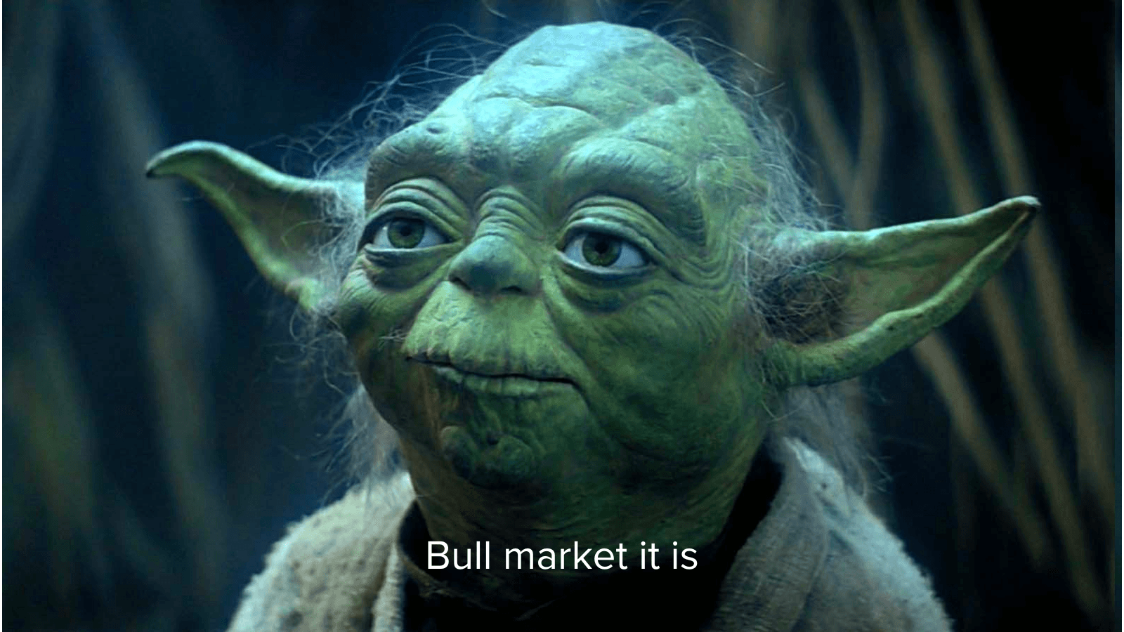 A new bull market in the making